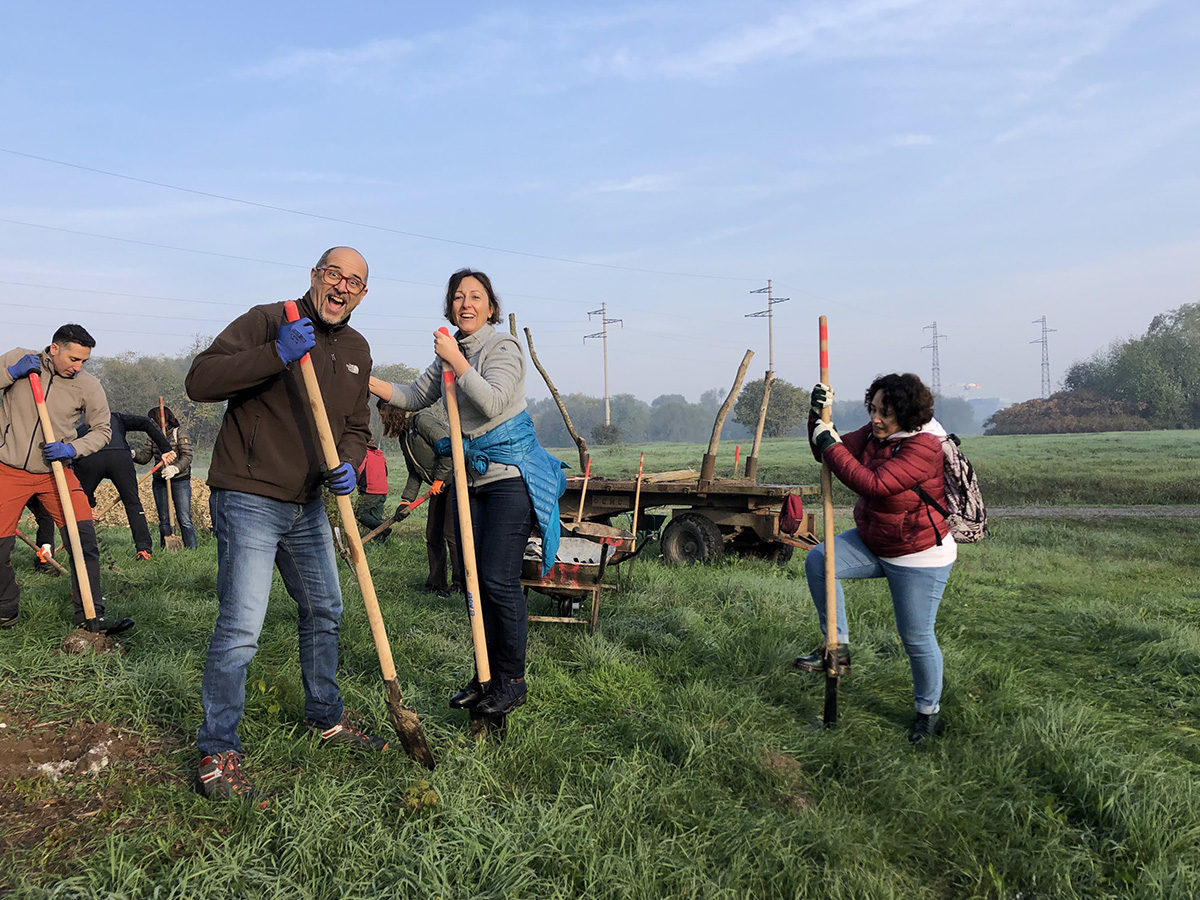 Several people digging in a field. 